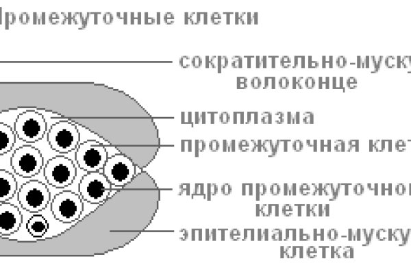 Dark net официальный сайт