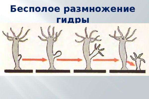 Ссылка на кракен тор браузер