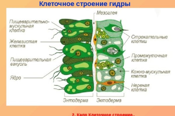 Кракен даркнет что известно