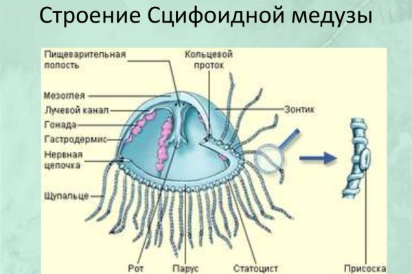 Рабочая ссылка кракен маркетплейс