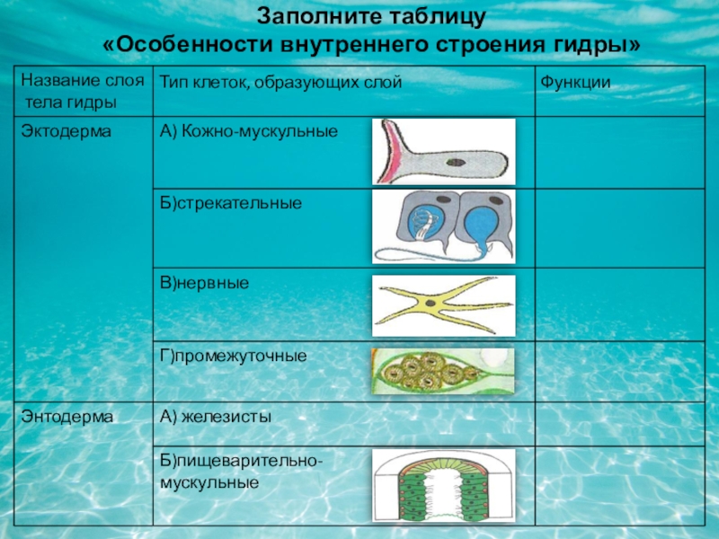 Кракен регистрация